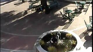 The Dangers of Texting PSA