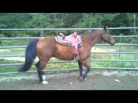 Jordy without boots 100811