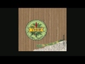 Tryo   Les soldats de plomb Live audio (432 hz)