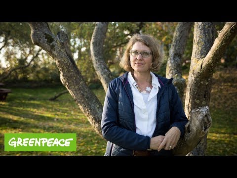 Video-Thumbnail von YouTube