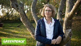 Video-Thumbnail von YouTube