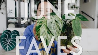 🥹 these 10 plants are making me v happy 🥹