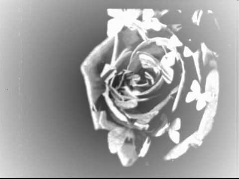 Gardenia video