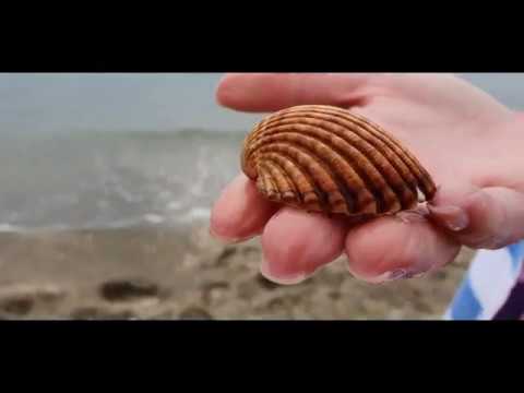 Paulyno - Another Chance (Edit)