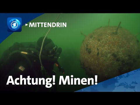 Eckernförde: Ausbildung zum Minentaucher bei der Bundeswehr | tagesthemen mittendrin