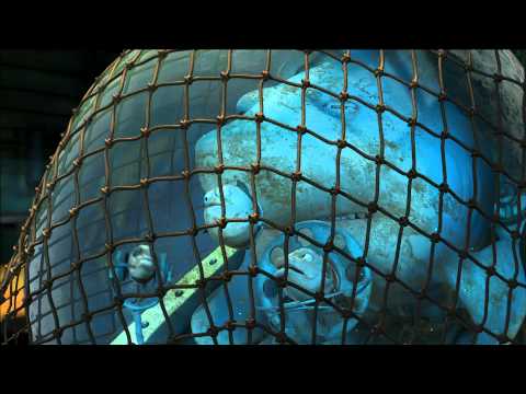 Trailer-Vorschau: Fischen Impossible - Eine tierische Rettungsaktion