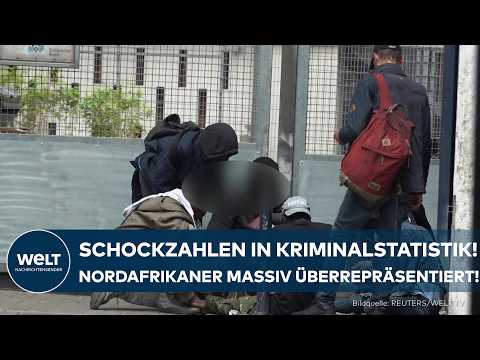 KRIMINALSTATISTIK: Polizei schlägt Alarm! Nordafrikaner massiv überrepräsentiert!