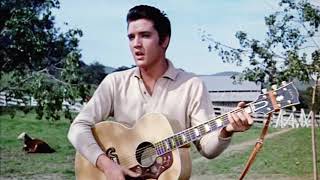 Elvis Presley - Loving You [New Edit]