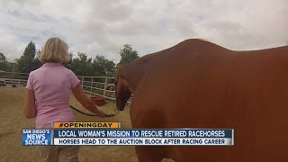 After the races, where do the thoroughbreds go?