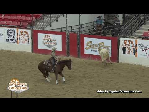 WR Hotshot ridden by Anne M. Albert  - 2019 NRCHA Stallion Stakes (Cow Work, NP Ltd.)