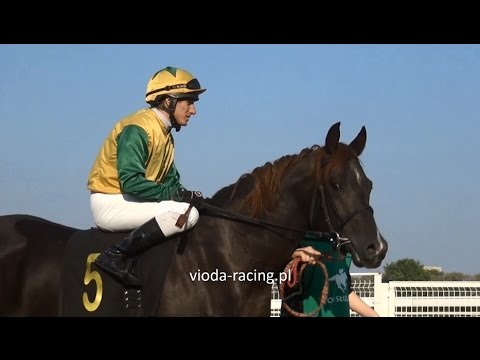 Gon. VI (N. Bandoli) - 4.10.2015 - Gazello (Nougatin - Gordaia)