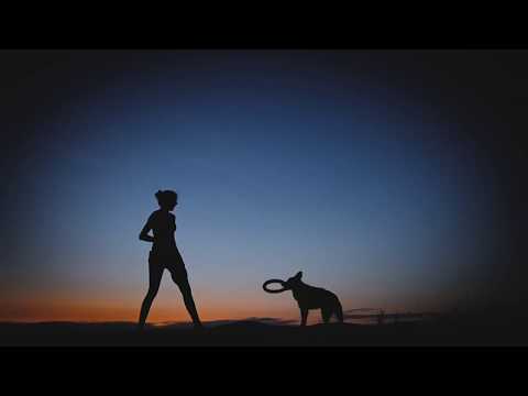 Come and cheer with us on the Dog Puller World Championship 2019.