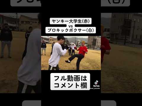 ヤンキー大学生とプロキックボクサーが路上でガチスパーリング