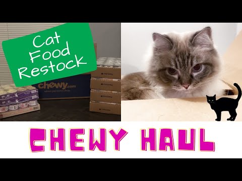 Chewy Haul | Cat Supplies Haul | Chewy Cat Haul | Ragdoll Cat | Domestic Shorthair Cat