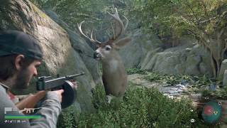 デイズゴーン　バグ！？　何かを否定する鹿　DAYS GONE