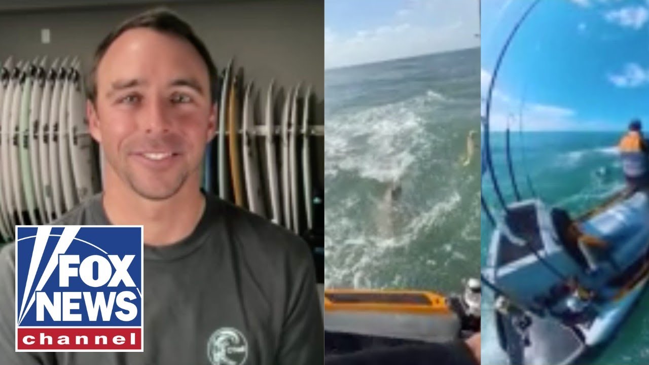 'This is INSANE!': Pro surfer surrounded by MASSIVE shark feeding frenzy