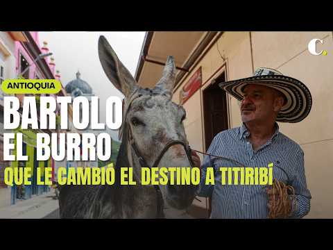La historia de Bartolo, el burro que le cambió el destino a Titiribí