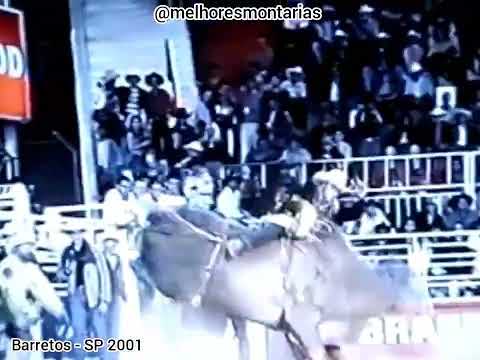 TOURO COMETA - RODEIO DE BARRETOS 2001