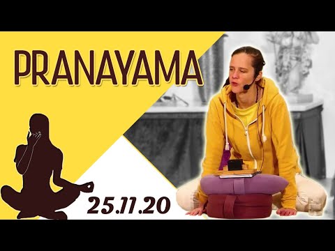 Pranayama für Fortgeschrittene mit Chitra - Yoga Vidya Live 06:00 - 25.11.2020