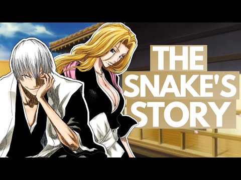 GIN & RANGIKU - Exploring the Tragedy of the Cat and the Snake | Bleach Discussion
