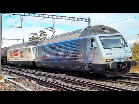 Bahnverkehr in Effingen/Trafic ferroviaire à Effingen (26.10.2021)