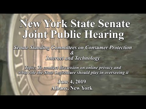 New York State Senate Standing Committee on Consumer Protection Public Hearing -6/4/19
