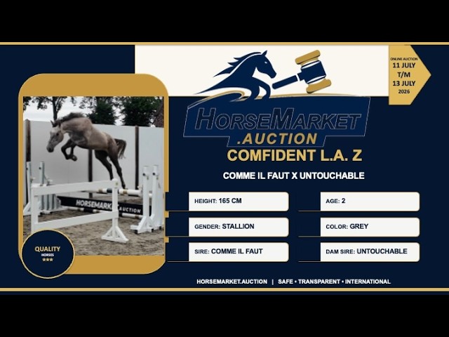 Comfident L.A. Z