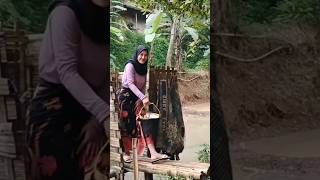 Download lagu Janda desa cantik anak dua hidup sederhana #short #shorts mp3 Download lagu Janda desa cantik anak dua hidup sederhana #short #shorts mp3