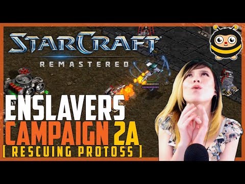 Livibee | Enslaver Campaign [SC:R] | Mission Two A (Rescuing the Protoss)