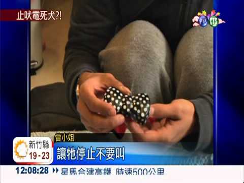 只用了3分鐘! 愛犬戴止吠器暴斃