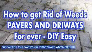 How to get Rid of Weeds from PAVERS AND DRIWAY Forever - DIY Easy