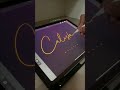 Siganture Design Signaturestyle Procreate Lettering Ipad Logo Customlogo Handlettering Font