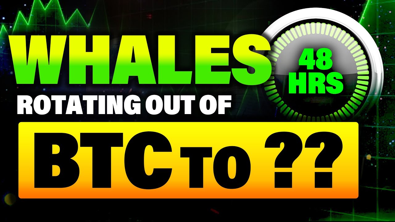 Bitcoin "Whale" Awakens: 35 BTC Moves After a Decade of Slumber