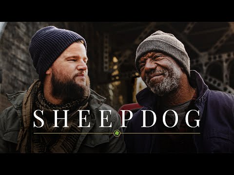 Sheepdog
