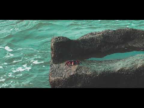 A Day in Kappad Beach Kozhikode