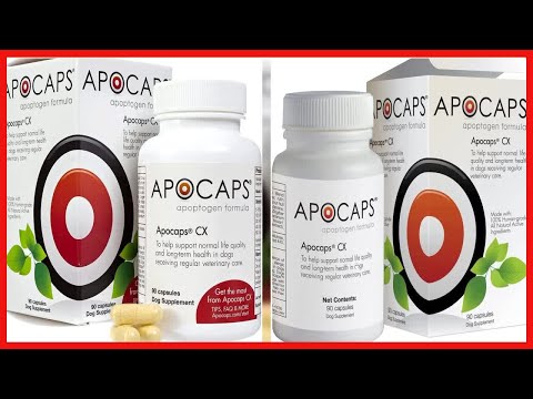 Apocaps CX Apoptogen Formula for Dogs , 90 Count (Pack of 1)