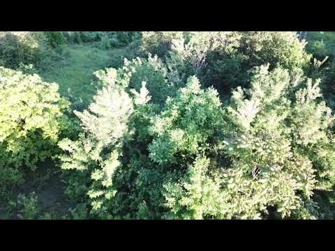 Comuna Orlesti, judetul Valcea