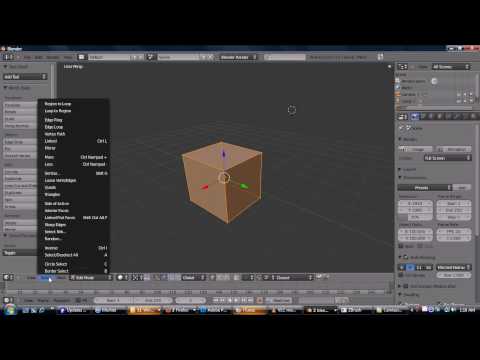 Blender Course (Not For Retards) —