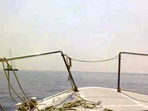 Ciganska Posla, Zoki BMW vozi autobus