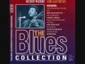 Muddy Waters - J.P.'s Boogie