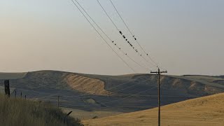 Aesthetic Experiment - Leif Vollebekk X Rural America