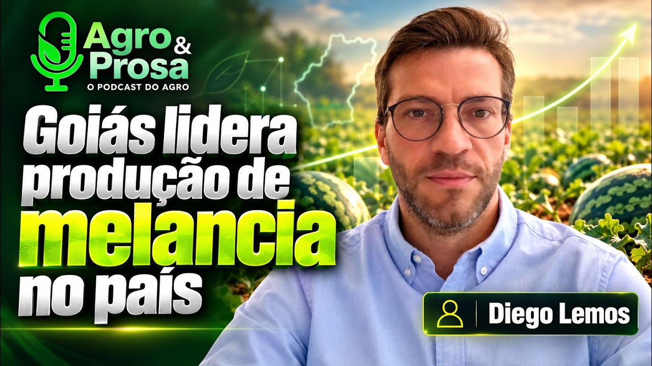 Goiás lidera valor da produção de melancia no Brasil