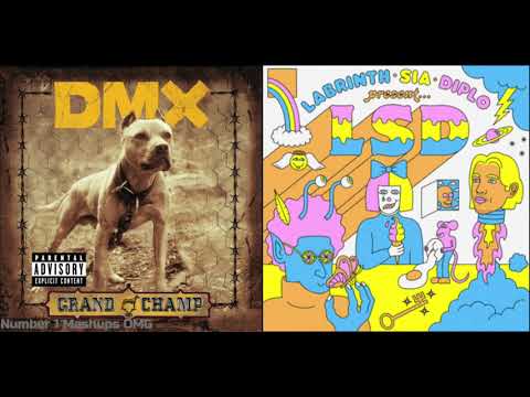 X Gon' Give New Friends - DMX + LSD (Mashup)