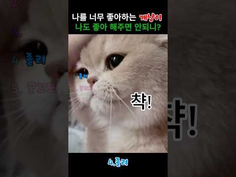 나를 너무 좋아하는 고양이