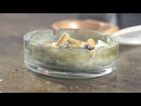 Video thumbnail for Triticum