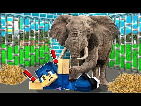 STEF È STATO SCHIACCIATO DA UN ELEFANTE! - MINECRAFT *VITA IN CITTÀ*