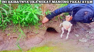 Download lagu Cari Belut Untuk Sahur Pakai Umpan Ayam Hasilnya Luar Biasa...! Mancing Belut Pakai Ayam mp3 Download lagu Cari Belut Untuk Sahur Pakai Umpan Ayam Hasilnya Luar Biasa...! Mancing Belut Pakai Ayam mp3