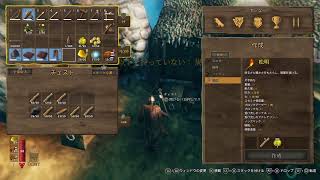 VALHEIM #05