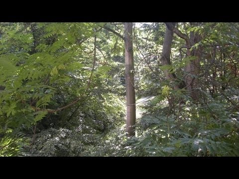 3 Zi-Wohnung mit Balkon, Nürnberg in Burgnähe