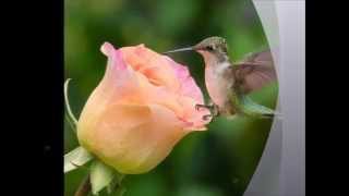 Download lagu thisha uthando mp3